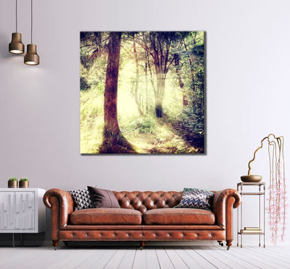 Square Canvas Sunrays in Forest Photograph High Quality Print 100% Australian Made