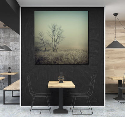 Square Canvas Misty Meadow Photograph High Quality Print 100% Australian Made