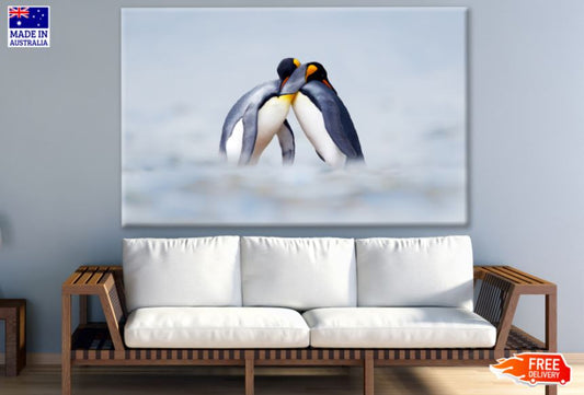 Penguin Couple in Snow Photograph Print 100% Australian Made