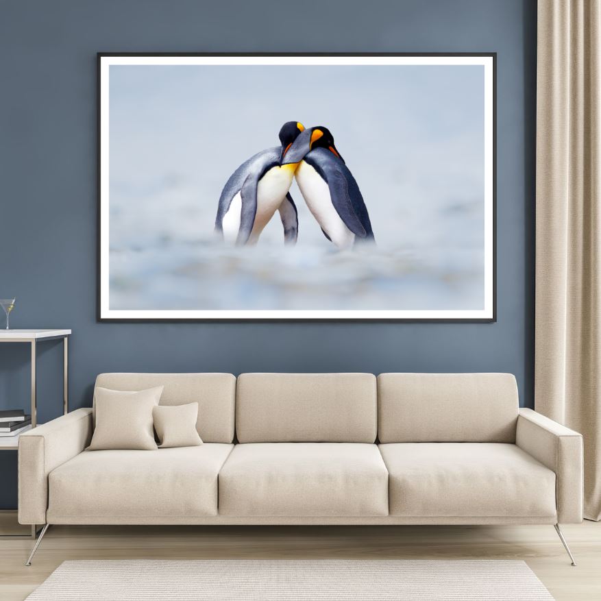Penguin Pair Photograph Home Decor Premium Quality Poster Print Choose Your Sizes