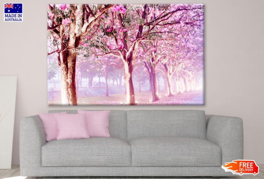 Blossom Trees in a Park Photograph Print 100% Australian Made