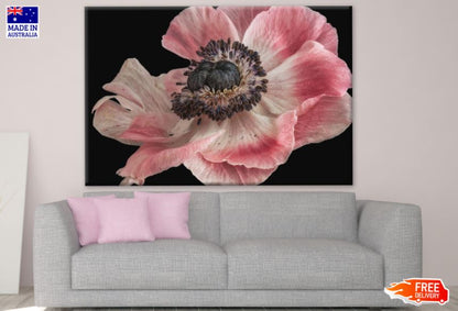 Blossom Flowers Closeup Photograph Print 100% Australian Made
