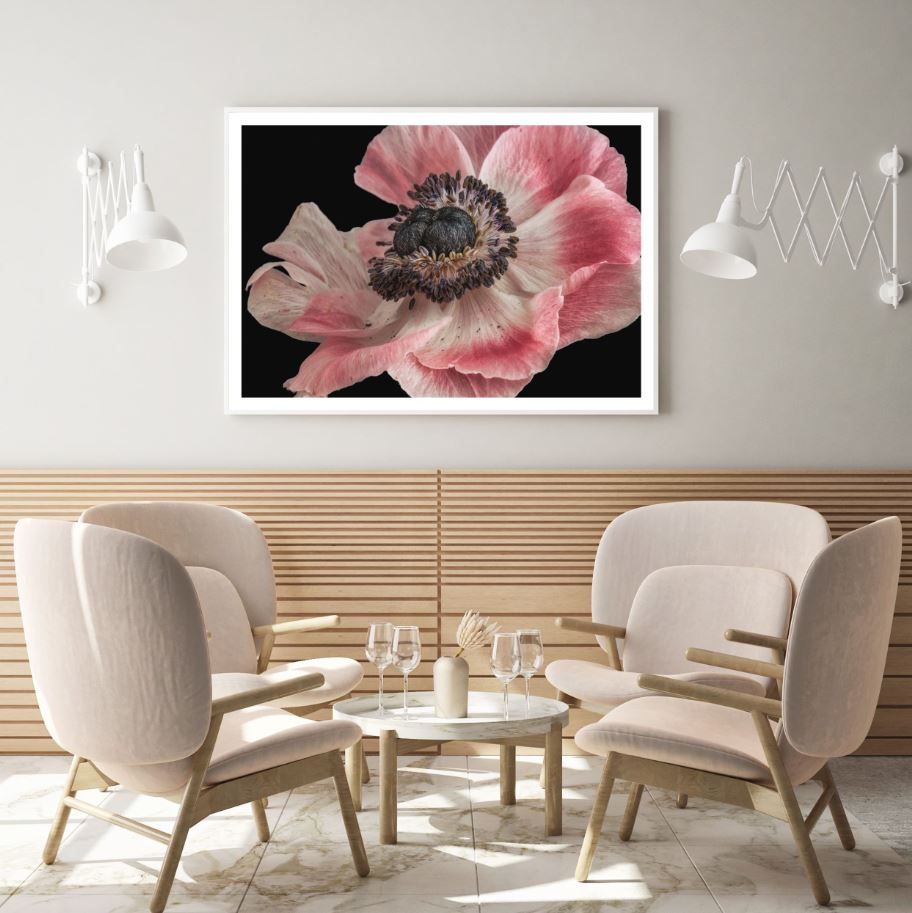Pink Flower Macro Photograph Home Decor Premium Quality Poster Print Choose Your Sizes