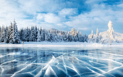 Cracks on the Surface of the Blue Ice near Forest Photograph Print 100% Australian Made