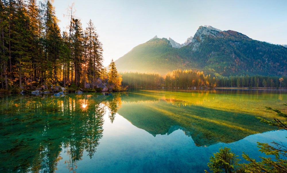 Forest near Lake Scenery View Photograph Home Decor Premium Quality Poster Print Choose Your Sizes