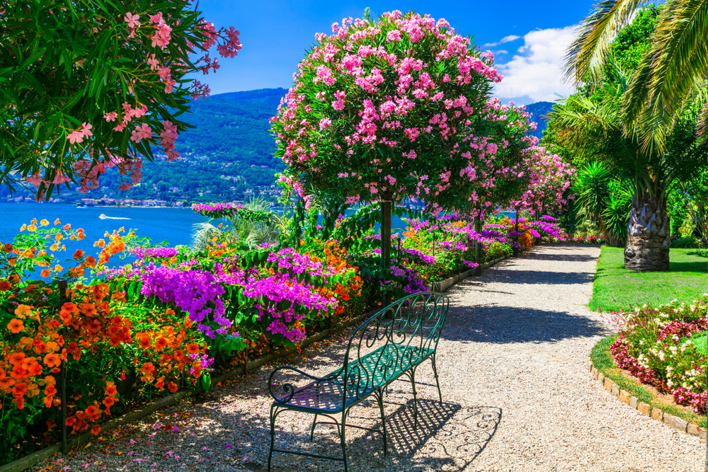 Flower Plants & Bench Photograph Print 100% Australian Made