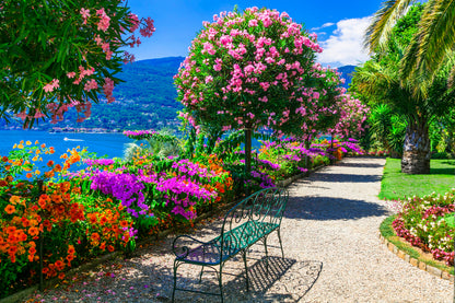 Flower Plants & Bench Photograph Print 100% Australian Made
