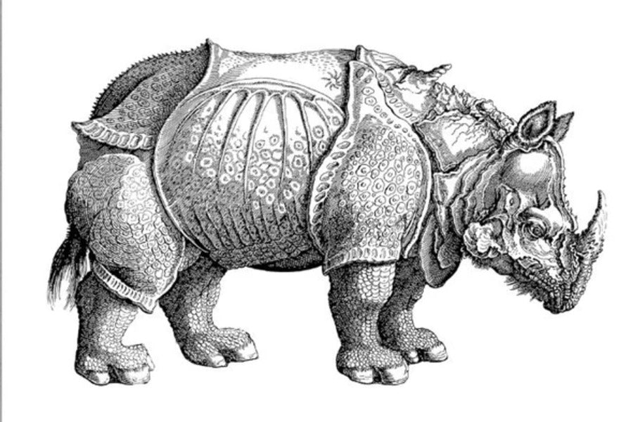 Rhino B&W Art Design Print 100% Australian Made