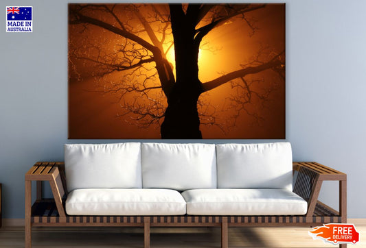 Tree at Sunset Scenery Photograph Print 100% Australian Made
