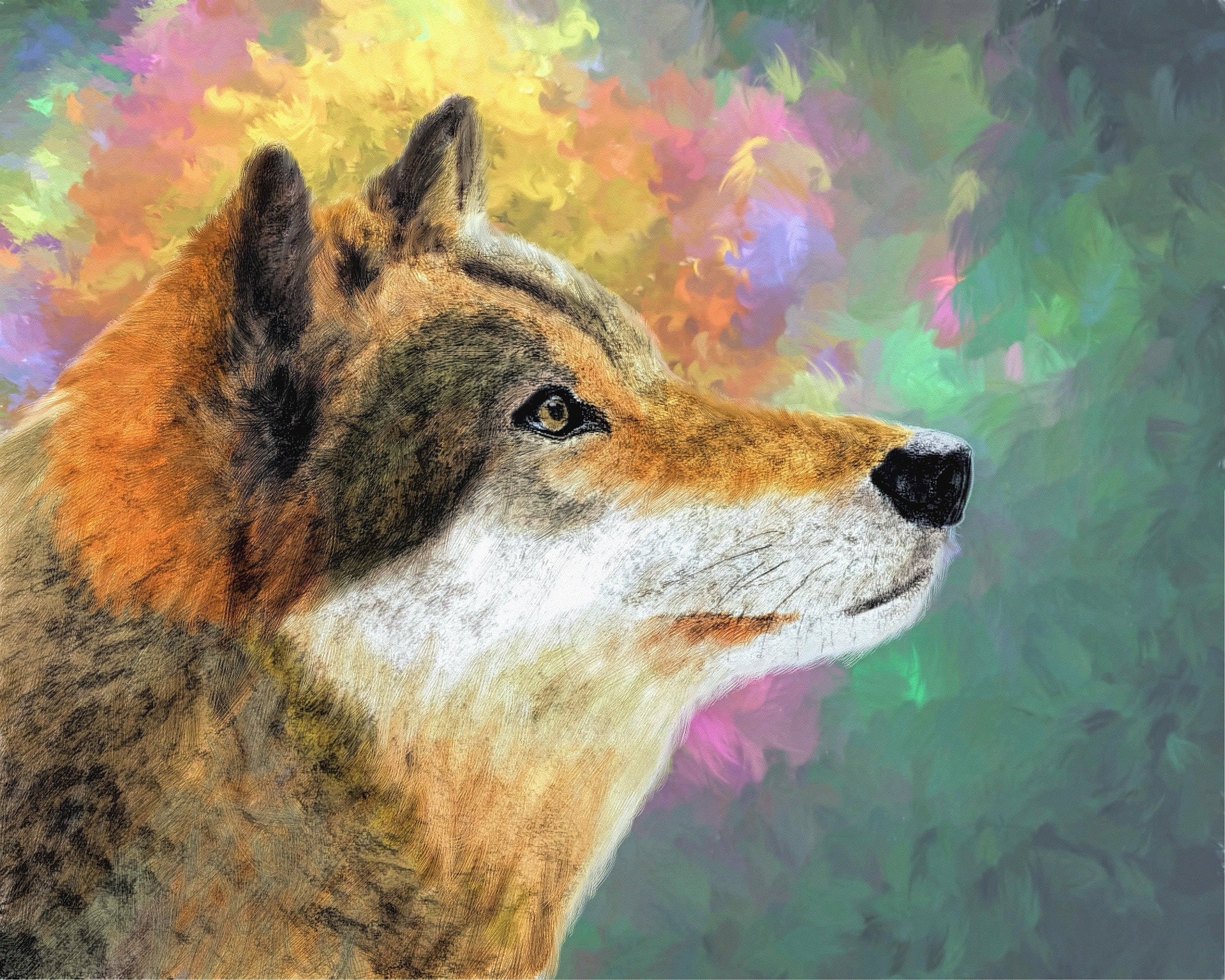 Colourful Wolf Portrait with Abstract Colours Painting Print 100% Australian Made