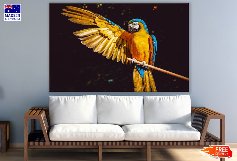 Parrot Showing Wing Photograph Print 100% Australian Made