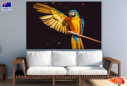 Parrot Showing Wing Photograph Print 100% Australian Made