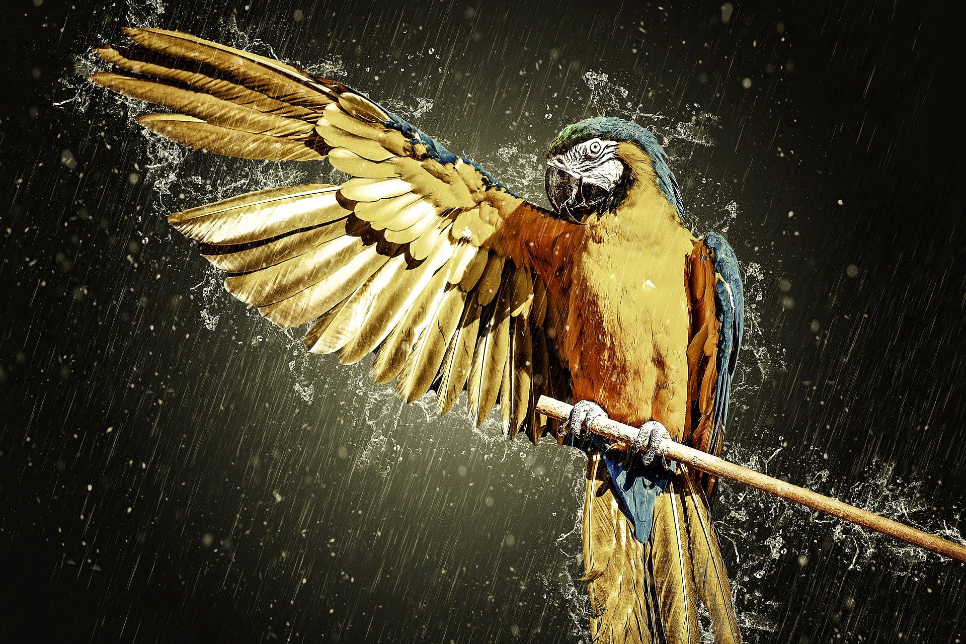 Parrot on a Tree Painting Home Decor Premium Quality Poster Print Choose Your Sizes