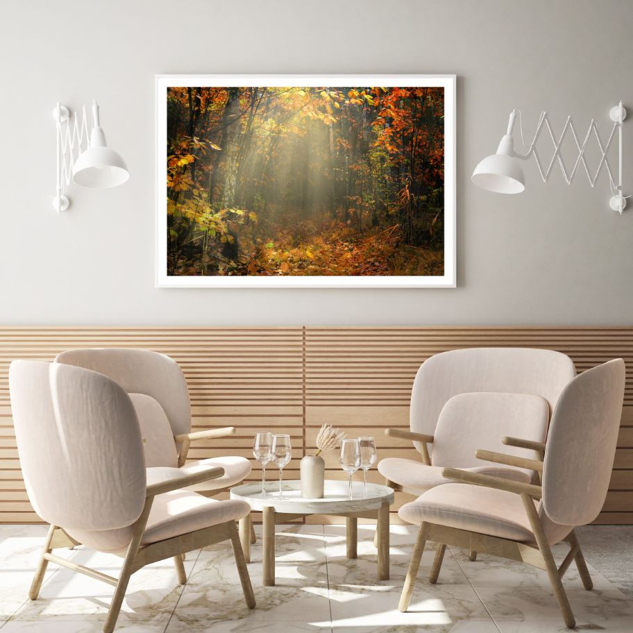 Autumn Forest Scenery Photograph Home Decor Premium Quality Poster Print Choose Your Sizes
