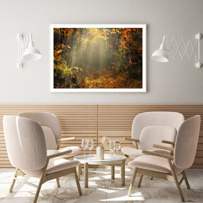 Autumn Forest Scenery Photograph Home Decor Premium Quality Poster Print Choose Your Sizes