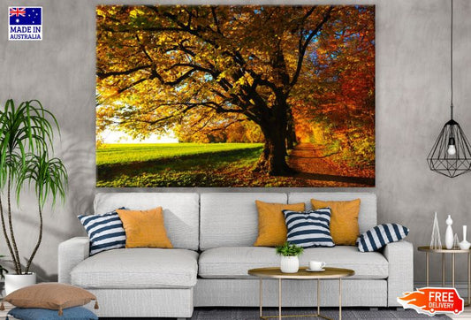 Autumn Trees Row Photograph Print 100% Australian Made