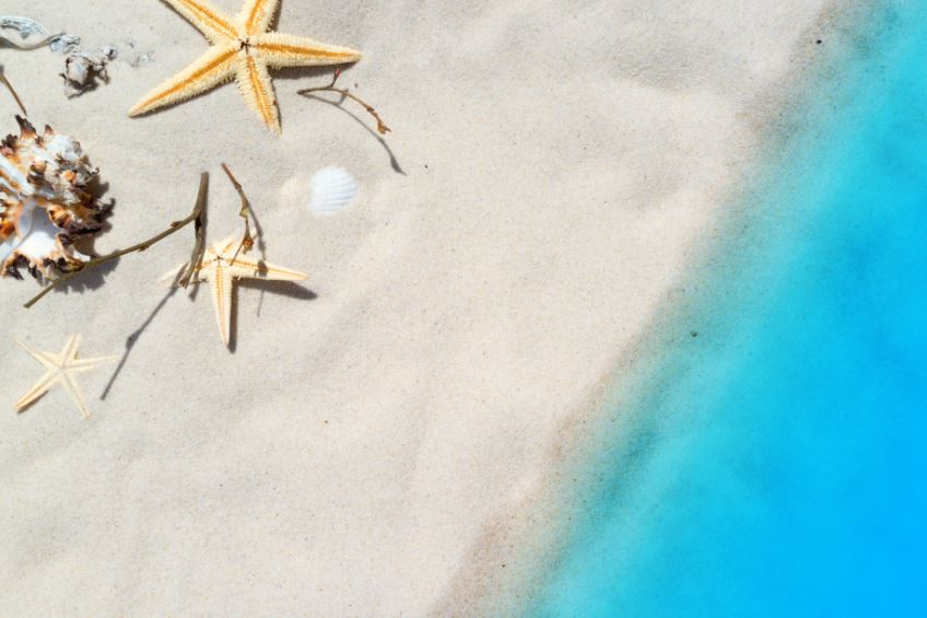 Sea Shells on Beach Photograph Print 100% Australian Made