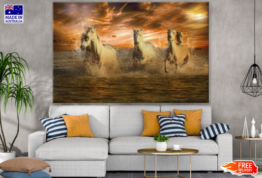 Horses Running on Sea Photograph Print 100% Australian Made