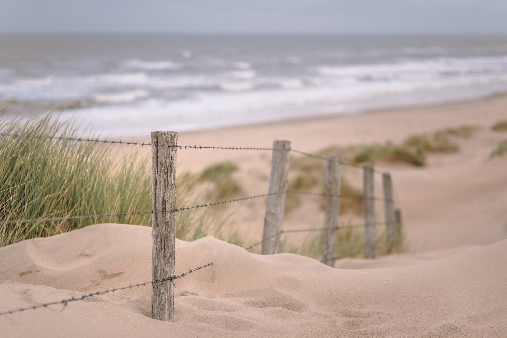 Sand Path to Beach with Fence Photograph Print 100% Australian Made