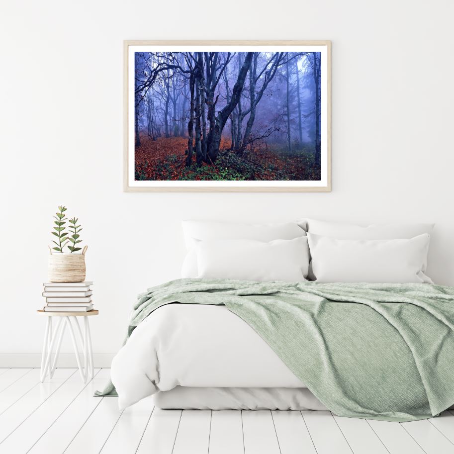 Autumn Forest Scenery Photograph Home Decor Premium Quality Poster Print Choose Your Sizes