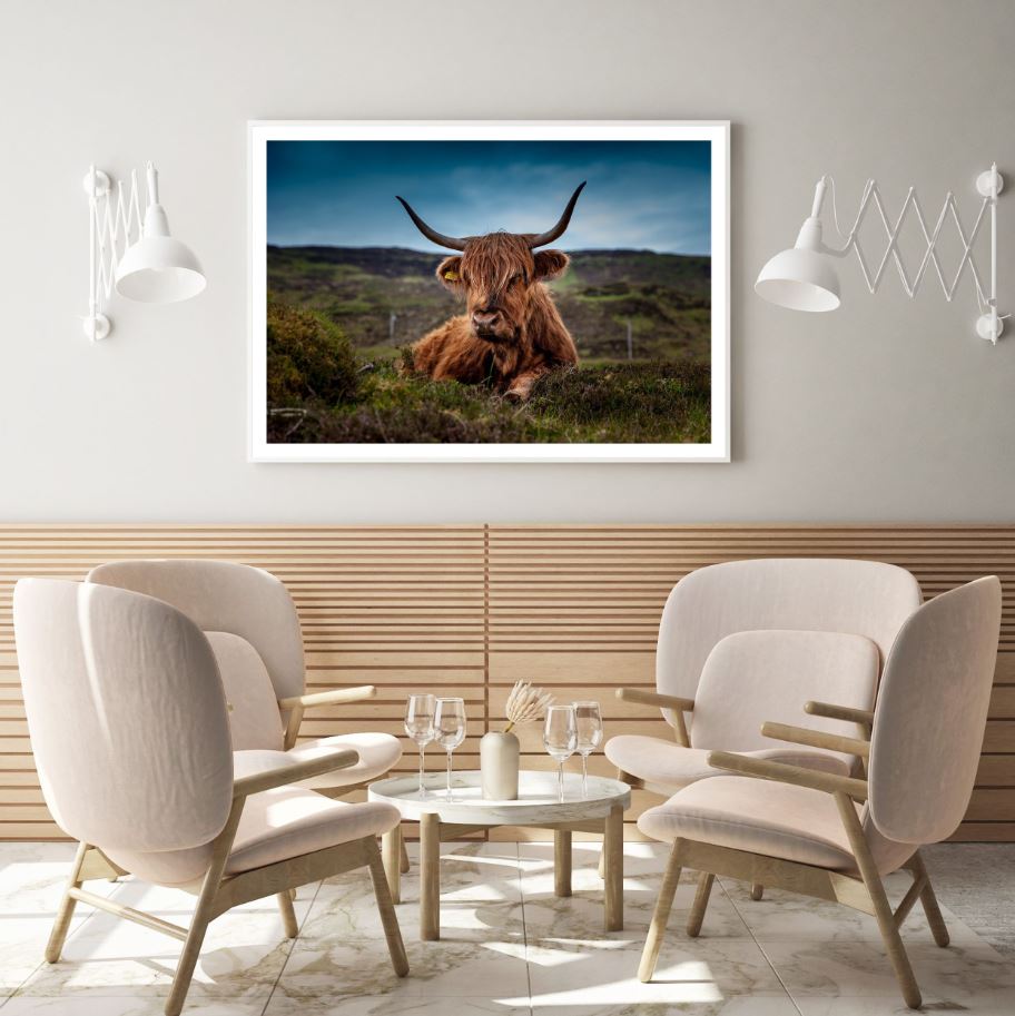 Highland Cow in Field Photograph Home Decor Premium Quality Poster Print Choose Your Sizes