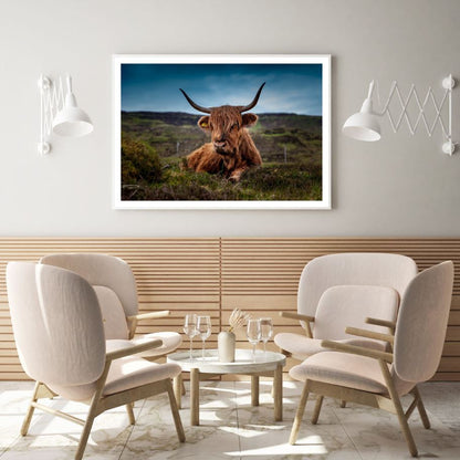 Highland Cow in Field Photograph Home Decor Premium Quality Poster Print Choose Your Sizes