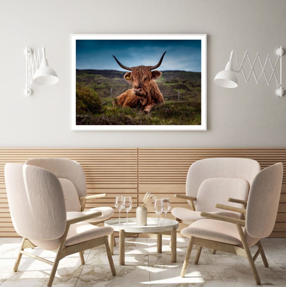 Highland Cow Photograph Home Decor Premium Quality Poster Print Choose Your Sizes