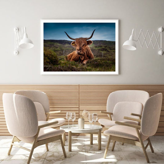 Highland Cow Photograph Home Decor Premium Quality Poster Print Choose Your Sizes
