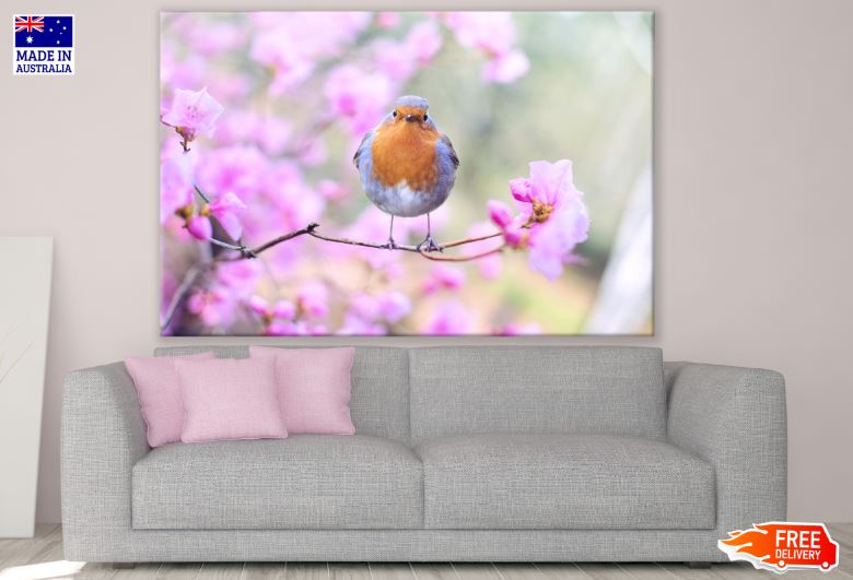 Beautiful Bird on a Flower Tree Photograph Print 100% Australian Made