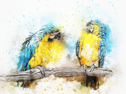 Colourful Macaw Birds Painting Print 100% Australian Made