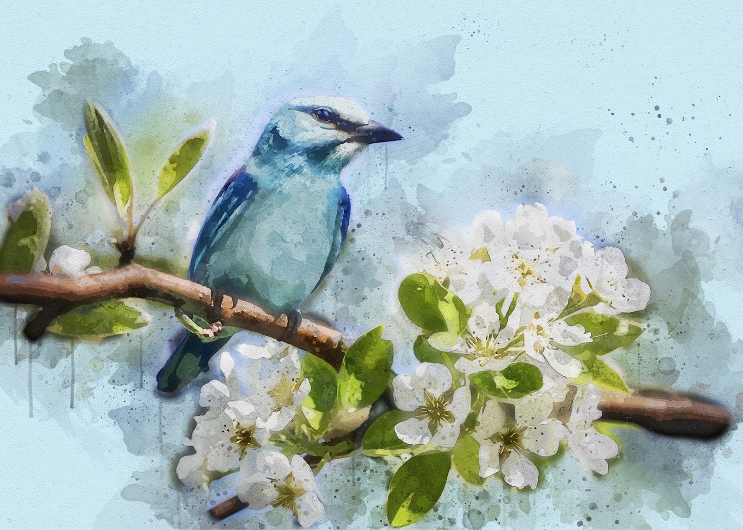 Blue Bird Sitting on a branch with White Flowers Painting Print 100% Australian Made