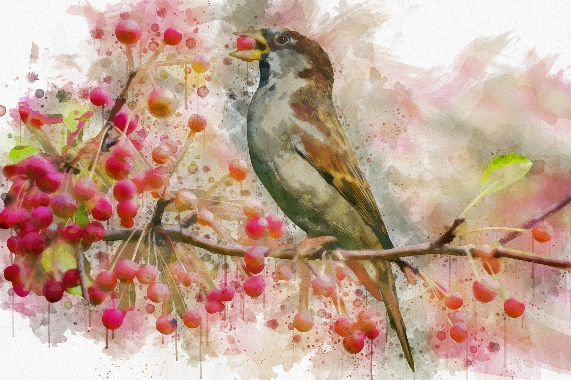 Bird Eating Cherries Painting Print 100% Australian Made