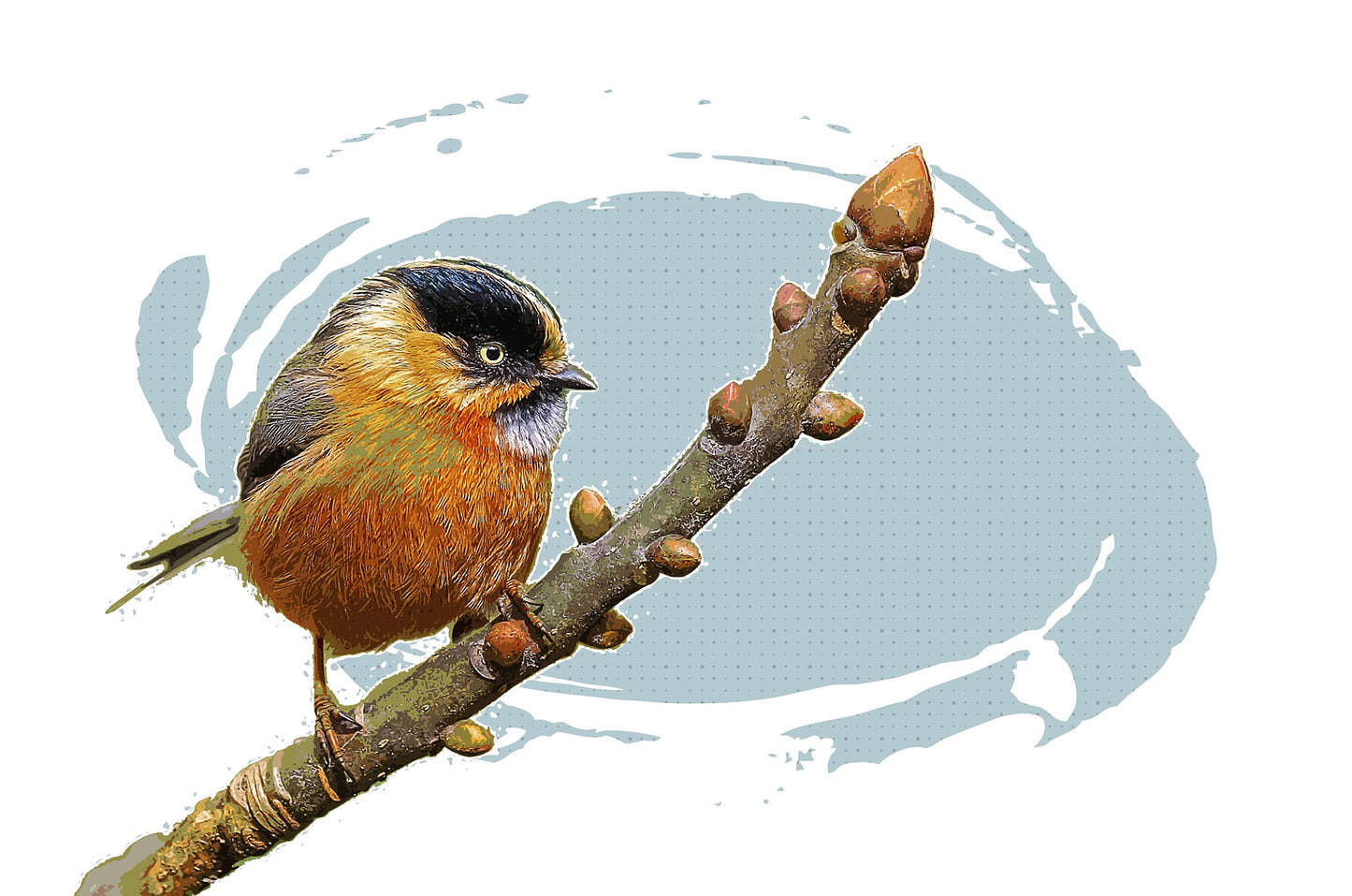 Bird on Tree Closeup Painting Home Decor Premium Quality Poster Print Choose Your Sizes