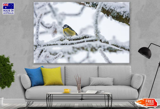 Bird on Frozen Tree Photograph Print 100% Australian Made