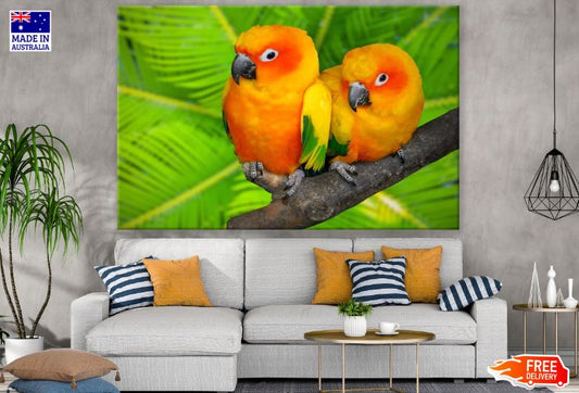 Colorful Parrots Photograph Print 100% Australian Made