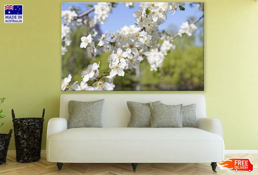 White Blossom Flower Tree Photograph Print 100% Australian Made
