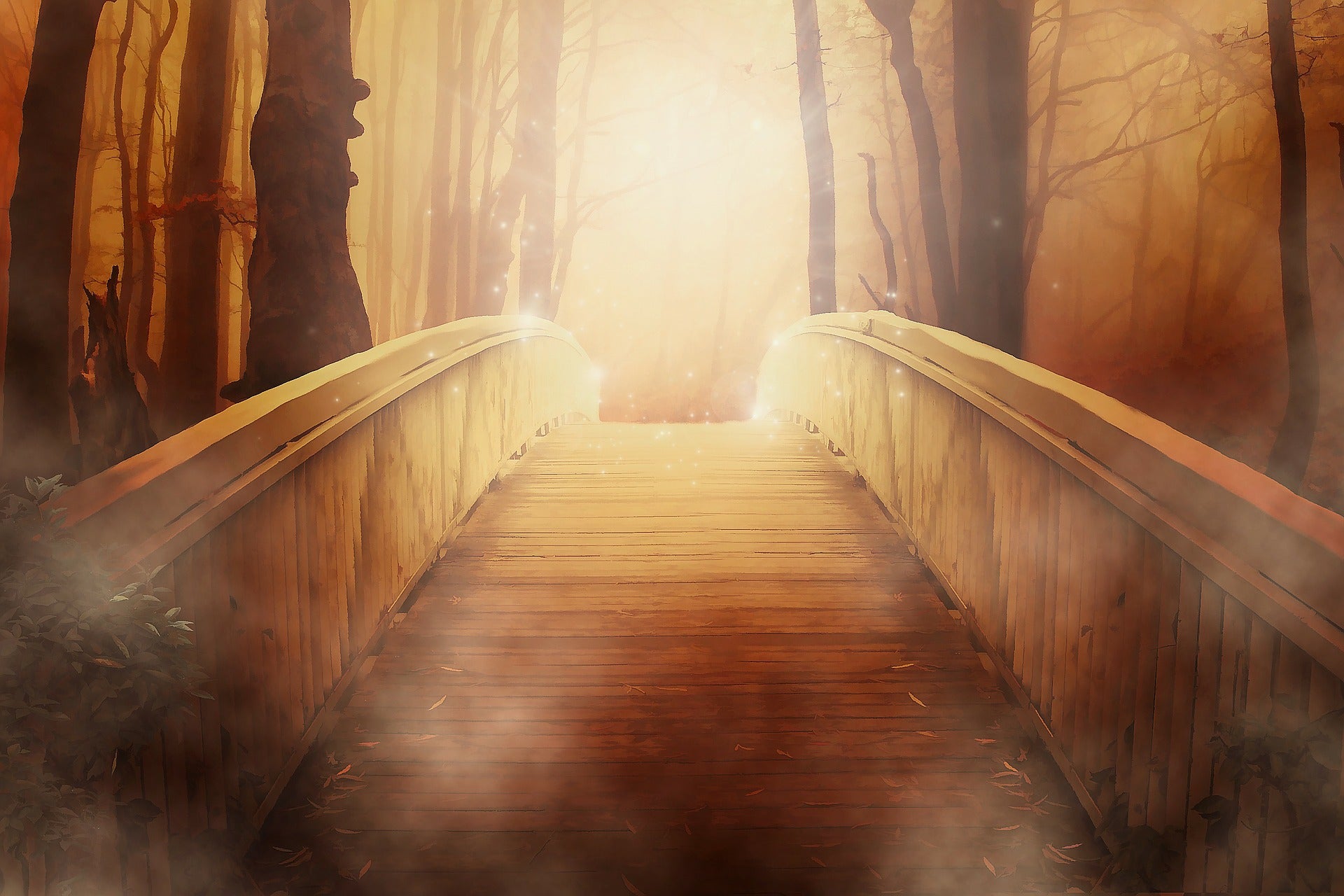 Deep Forest Wooden Bridge Print 100% Australian Made