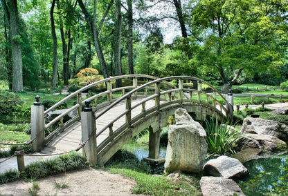 Curvy Bridge on a water Stream with Forest Background Print 100% Australian Made