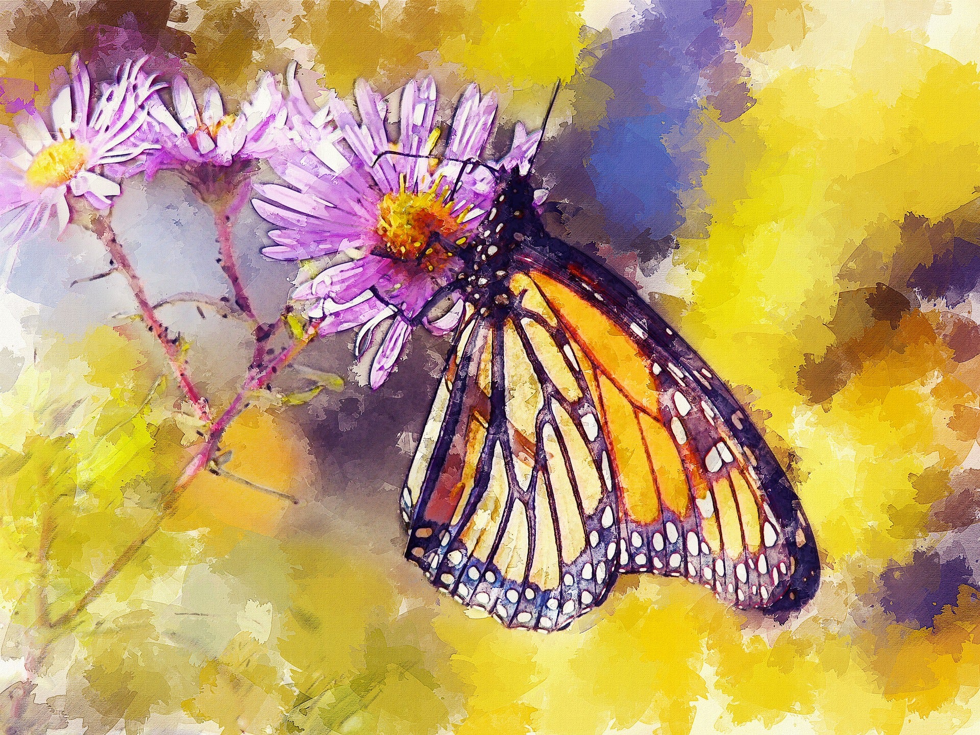 Butterfly Standing on a Flower Print 100% Australian Made