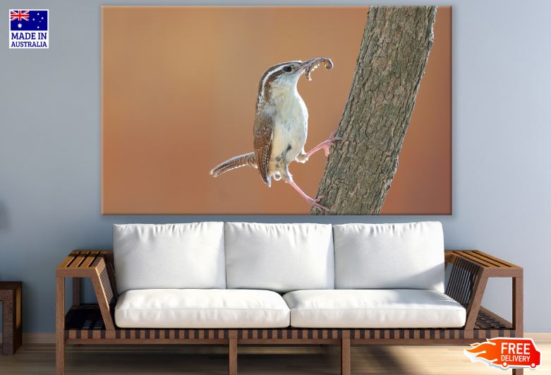 Bird with a Worm Photograph Print 100% Australian Made