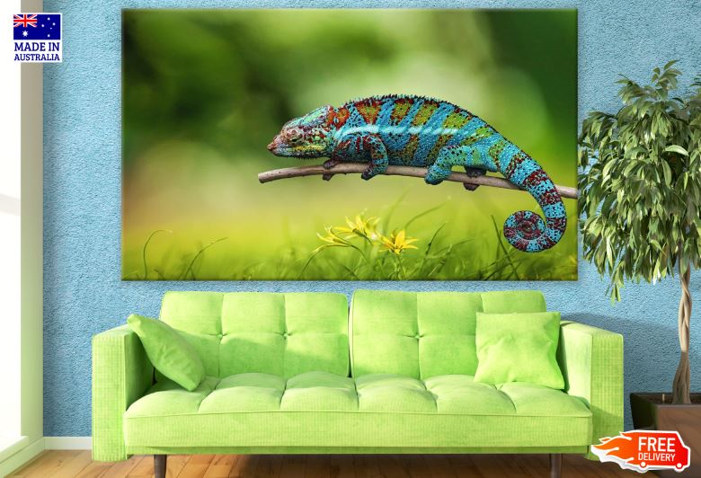 Colorful Chameleon Closeup Photograph Print 100% Australian Made