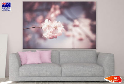 Blossom Flower Macro Photograph Print 100% Australian Made