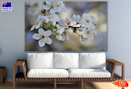 White Blossom Flower Tree Photograph Print 100% Australian Made