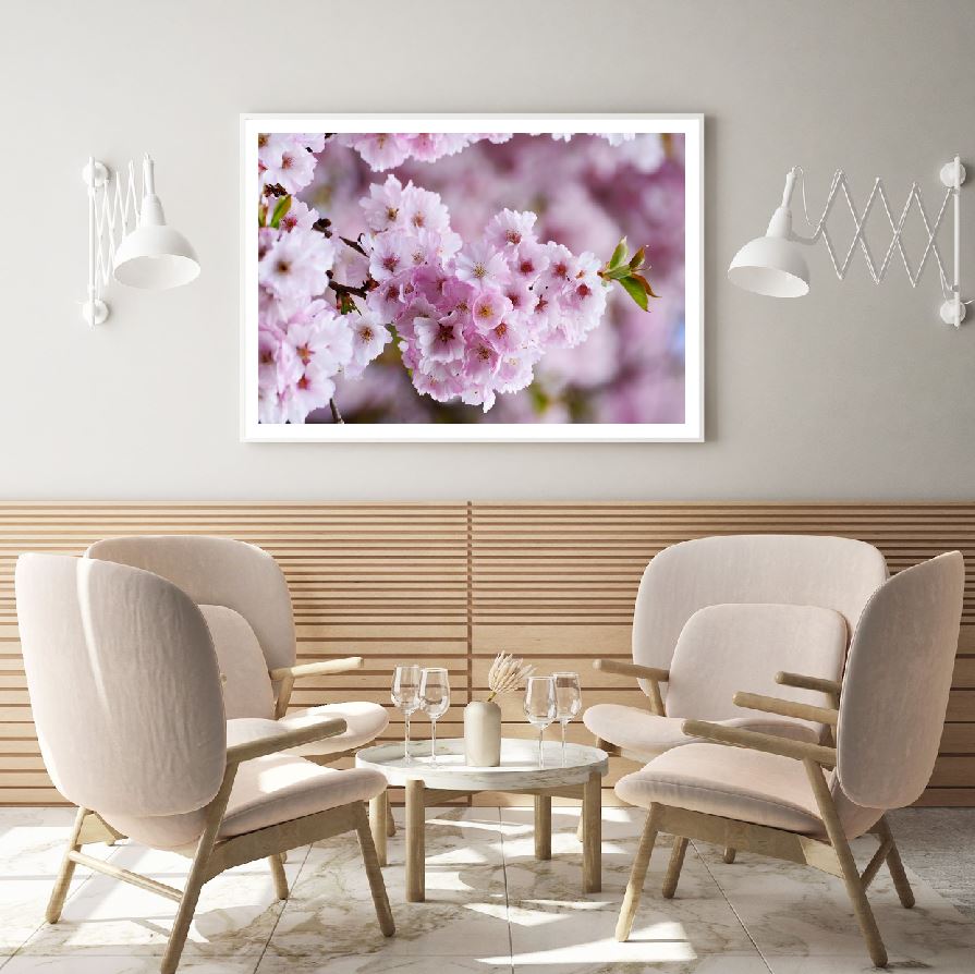 Blossom Flowers Closeup View Home Decor Premium Quality Poster Print Choose Your Sizes