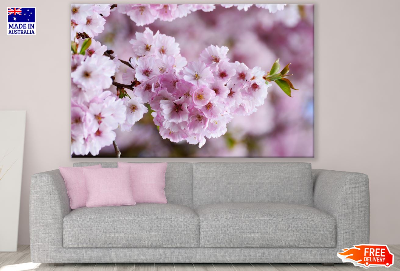 Blossom Flowers Closeup View View Print 100% Australian Made