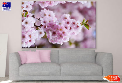 Blossom Flowers Closeup View View Print 100% Australian Made
