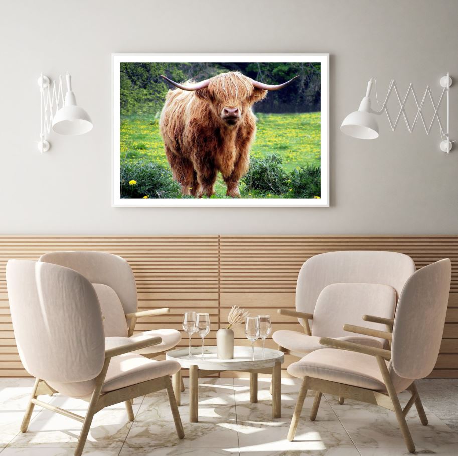 Highland Cow Closeup Photograph Home Decor Premium Quality Poster Print Choose Your Sizes