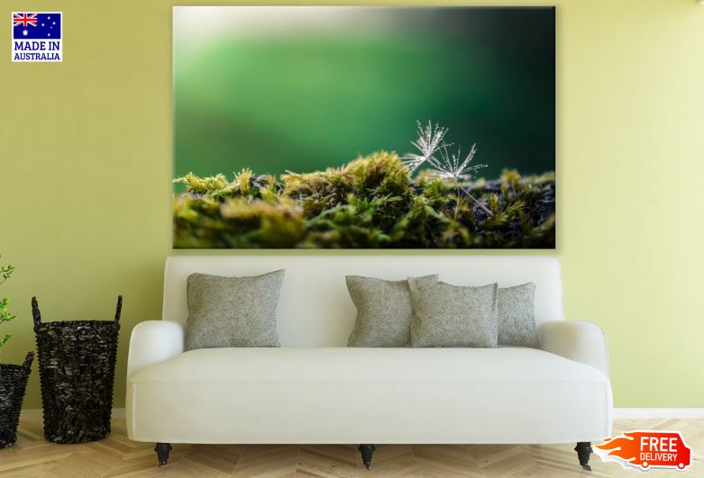 Dandelion Flower Macro Photograph Print 100% Australian Made