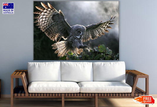 Flying Owl Photograph Print 100% Australian Made