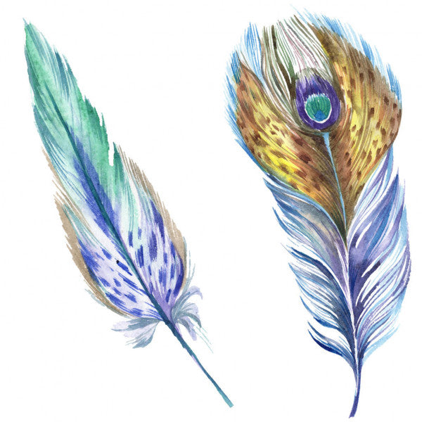 Square Canvas Feathers Watercolor Painting High Quality Print 100% Australian Made